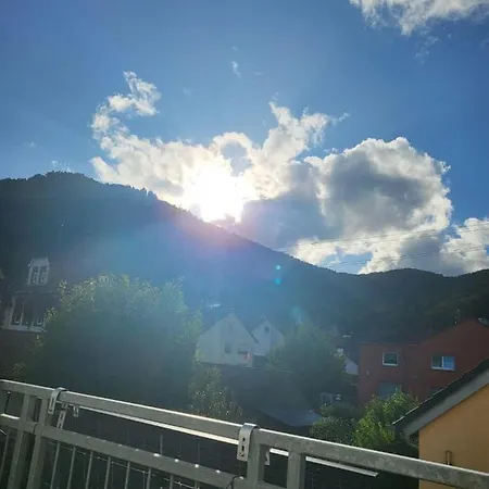 Sabine 公寓 特里费尔斯山麓安韦勒